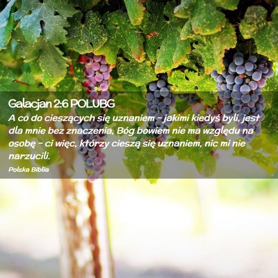 Picture 02 - Galacjan 2:6 POLUBG - A co do cieszących się uznaniem – jakimi - Bible Verse Picture