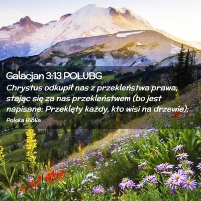 Picture 02 - Galacjan 3:13 POLUBG - Chrystus odkupił nas z przekleństwa prawa, - Bible Verse Picture