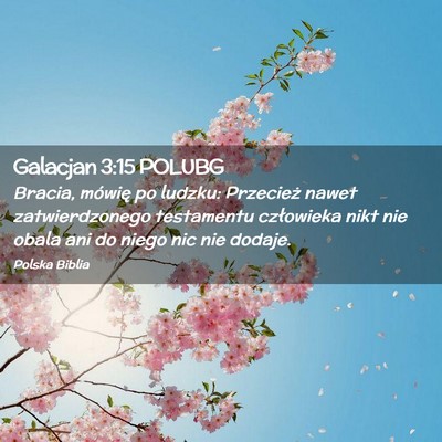 Picture 02 - Galacjan 3:15 POLUBG - Bracia, mówię po ludzku: Przecież nawet - Bible Verse Picture