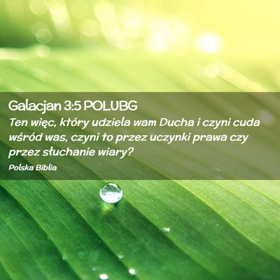 Picture 02 - Galacjan 3:5 POLUBG - Ten więc, który udziela wam Ducha i czyni cuda - Bible Verse Picture