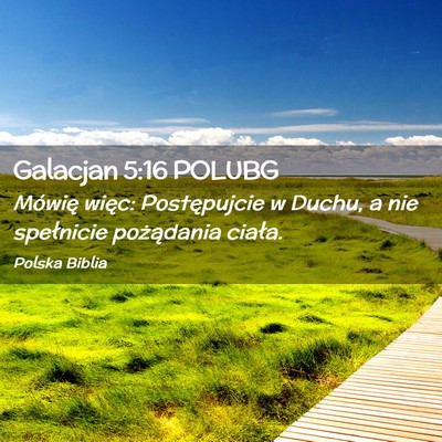 Picture 02 - Galacjan 5:16 POLUBG - Mówię więc: Postępujcie w Duchu, a nie - Bible Verse Picture