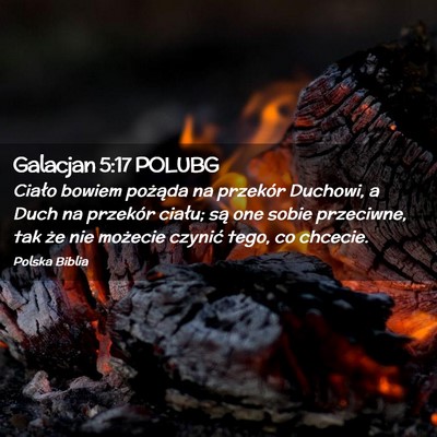 Picture 02 - Galacjan 5:17 POLUBG - Ciało bowiem pożąda na przekór Duchowi, a - Bible Verse Picture