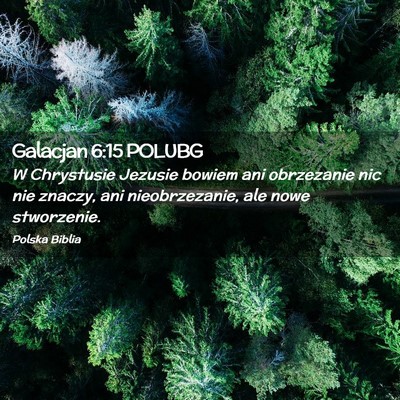 Picture 02 - Galacjan 6:15 POLUBG - W Chrystusie Jezusie bowiem ani obrzezanie nic - Bible Verse Picture