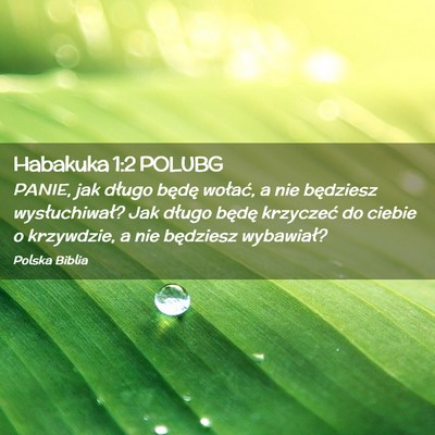 Picture 02 - Habakuka 1:2 POLUBG - PANIE, jak długo będę wołać, a nie będziesz - Bible Verse Picture