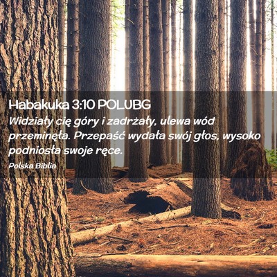 Picture 02 - Habakuka 3:10 POLUBG - Widziały cię góry i zadrżały, ulewa wód - Bible Verse Picture