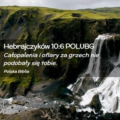 Picture 02 - Hebrajczyków 10:6 POLUBG - Całopalenia i ofiary za grzech nie podobały - Bible Verse Picture