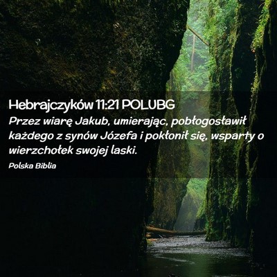 Picture 02 - Hebrajczyków 11:21 POLUBG - Przez wiarę Jakub, umierając, pobłogosławił - Bible Verse Picture