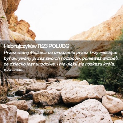 Picture 02 - Hebrajczyków 11:23 POLUBG - Przez wiarę Mojżesz po urodzeniu przez trzy - Bible Verse Picture