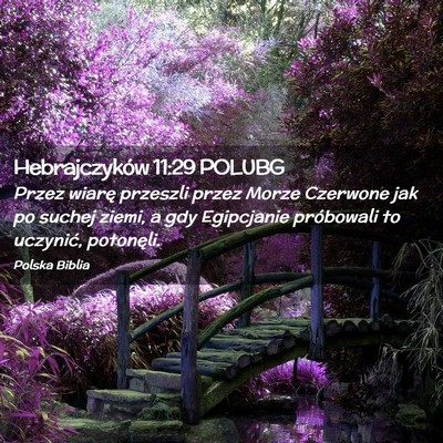 Picture 02 - Hebrajczyków 11:29 POLUBG - Przez wiarę przeszli przez Morze Czerwone jak po - Bible Verse Picture