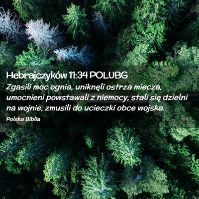 Picture 02 - Hebrajczyków 11:34 POLUBG - Zgasili moc ognia, uniknęli ostrza miecza, - Bible Verse Picture