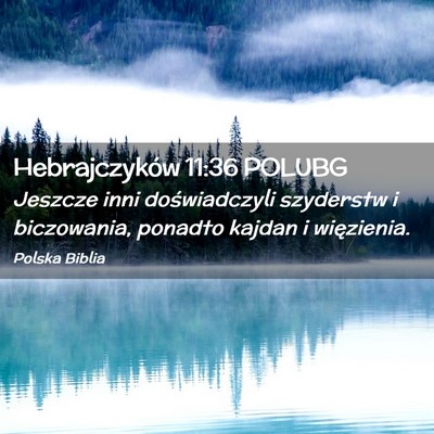 Picture 02 - Hebrajczyków 11:36 POLUBG - Jeszcze inni doświadczyli szyderstw i - Bible Verse Picture