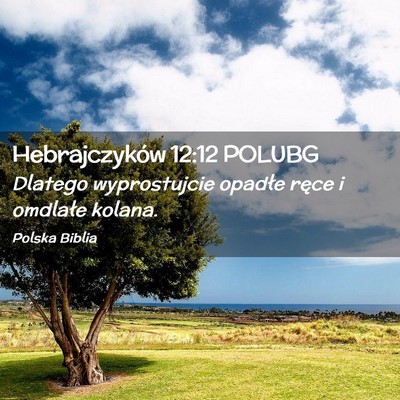 Picture 02 - Hebrajczyków 12:12 POLUBG - Dlatego wyprostujcie opadłe ręce i omdlałe - Bible Verse Picture