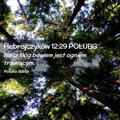 Picture 02 - Hebrajczyków 12:29 POLUBG - Nasz Bóg bowiem jest ogniem - Bible Verse Picture