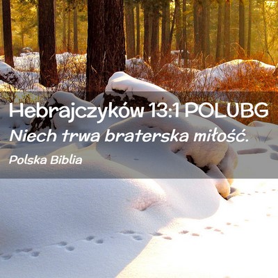 Picture 02 - Hebrajczyków 13:1 POLUBG - Niech trwa braterska - Bible Verse Picture