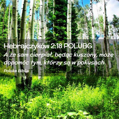 Picture 02 - Hebrajczyków 2:18 POLUBG - A że sam cierpiał, będąc kuszony, może - Bible Verse Picture