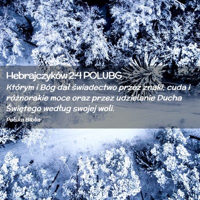 Picture 02 - Hebrajczyków 2:4 POLUBG - Którym i Bóg dał świadectwo przez znaki, cuda - Bible Verse Picture