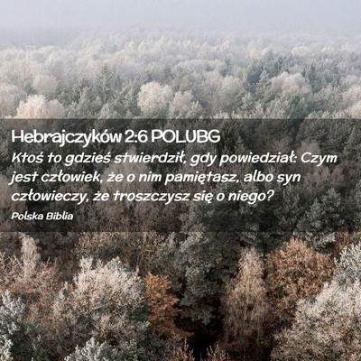 Picture 02 - Hebrajczyków 2:6 POLUBG - Ktoś to gdzieś stwierdził, gdy powiedział: - Bible Verse Picture