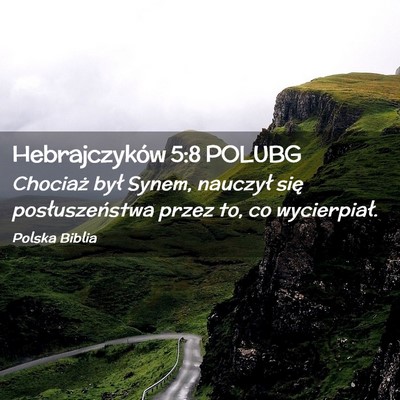 Picture 02 - Hebrajczyków 5:8 POLUBG - Chociaż był Synem, nauczył się - Bible Verse Picture