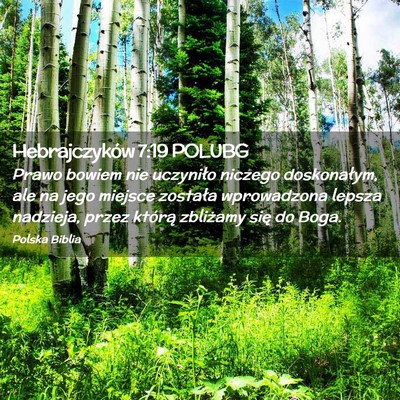 Picture 02 - Hebrajczyków 7:19 POLUBG - Prawo bowiem nie uczyniło niczego doskonałym, - Bible Verse Picture