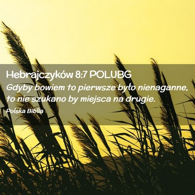 Picture 02 - Hebrajczyków 8:7 POLUBG - Gdyby bowiem to pierwsze było nienaganne, to nie - Bible Verse Picture