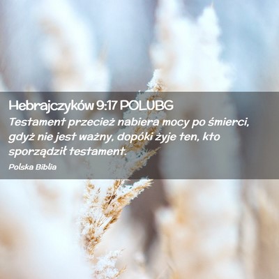 Picture 02 - Hebrajczyków 9:17 POLUBG - Testament przecież nabiera mocy po śmierci, - Bible Verse Picture
