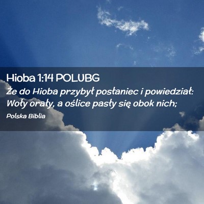 Picture 02 - Hioba 1:14 POLUBG - Że do Hioba przybył posłaniec i powiedział: - Bible Verse Picture