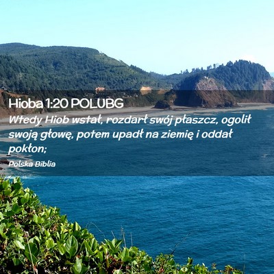 Picture 02 - Hioba 1:20 POLUBG - Wtedy Hiob wstał, rozdarł swój płaszcz, - Bible Verse Picture