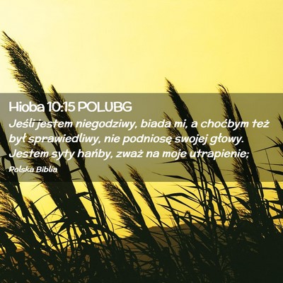 Picture 02 - Hioba 10:15 POLUBG - Jeśli jestem niegodziwy, biada mi, a choćbym - Bible Verse Picture