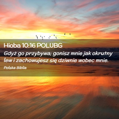 Picture 02 - Hioba 10:16 POLUBG - Gdyż go przybywa; gonisz mnie jak okrutny lew i - Bible Verse Picture