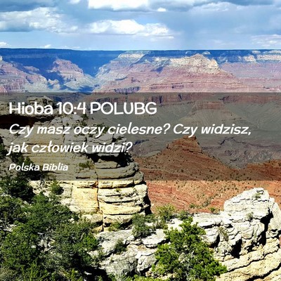 Picture 02 - Hioba 10:4 POLUBG - Czy masz oczy cielesne? Czy widzisz, jak - Bible Verse Picture