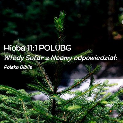 Picture 02 - Hioba 11:1 POLUBG - Wtedy Sofar z Naamy - Bible Verse Picture