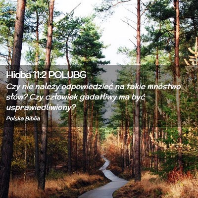 Picture 02 - Hioba 11:2 POLUBG - Czy nie należy odpowiedzieć na takie mnóstwo - Bible Verse Picture