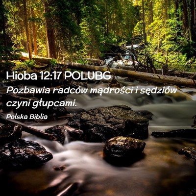 Picture 02 - Hioba 12:17 POLUBG - Pozbawia radców mądrości i sędziów czyni - Bible Verse Picture