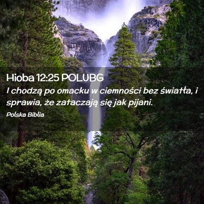 Picture 02 - Hioba 12:25 POLUBG - I chodzą po omacku w ciemności bez światła, i - Bible Verse Picture