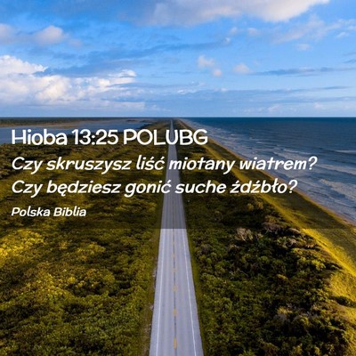 Picture 02 - Hioba 13:25 POLUBG - Czy skruszysz liść miotany wiatrem? Czy - Bible Verse Picture