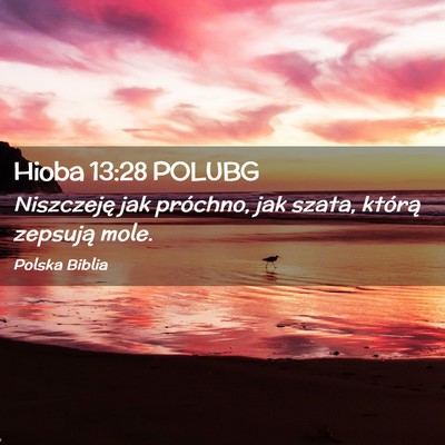 Picture 02 - Hioba 13:28 POLUBG - Niszczeję jak próchno, jak szata, którą - Bible Verse Picture
