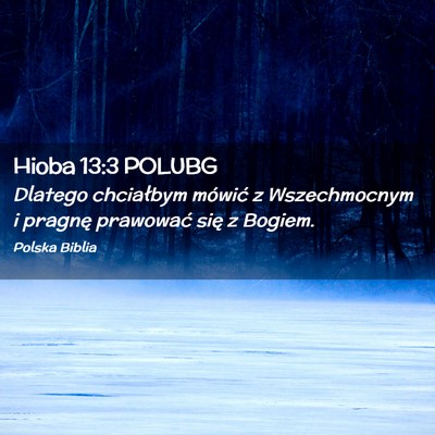 Picture 02 - Hioba 13:3 POLUBG - Dlatego chciałbym mówić z Wszechmocnym i - Bible Verse Picture