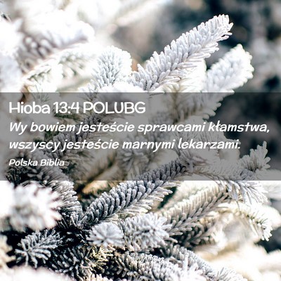 Picture 02 - Hioba 13:4 POLUBG - Wy bowiem jesteście sprawcami kłamstwa, wszyscy - Bible Verse Picture