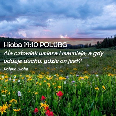 Picture 02 - Hioba 14:10 POLUBG - Ale człowiek umiera i marnieje; a gdy oddaje - Bible Verse Picture