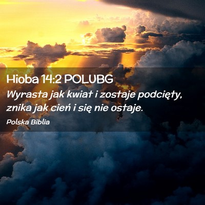 Picture 02 - Hioba 14:2 POLUBG - Wyrasta jak kwiat i zostaje podcięty, znika jak - Bible Verse Picture