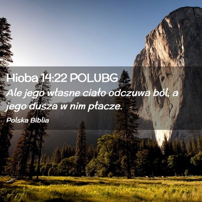 Picture 02 - Hioba 14:22 POLUBG - Ale jego własne ciało odczuwa ból, a jego - Bible Verse Picture