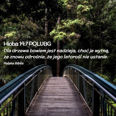 Picture 02 - Hioba 14:7 POLUBG - Dla drzewa bowiem jest nadzieja, choć je wytną, - Bible Verse Picture