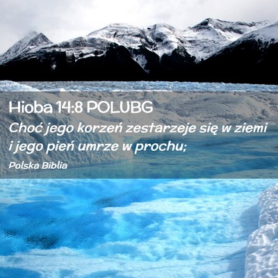Picture 02 - Hioba 14:8 POLUBG - Choć jego korzeń zestarzeje się w ziemi i jego - Bible Verse Picture