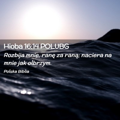 Picture 02 - Hioba 16:14 POLUBG - Rozbija mnie, ranę za raną; naciera na mnie jak - Bible Verse Picture