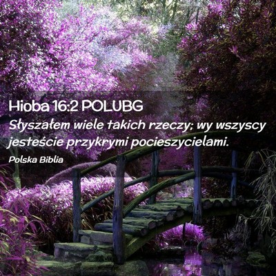 Picture 02 - Hioba 16:2 POLUBG - Słyszałem wiele takich rzeczy; wy wszyscy - Bible Verse Picture