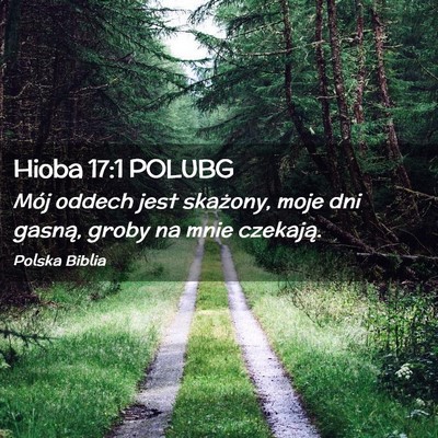 Picture 02 - Hioba 17:1 POLUBG - Mój oddech jest skażony, moje dni gasną, groby - Bible Verse Picture