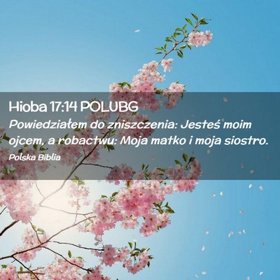 Picture 02 - Hioba 17:14 POLUBG - Powiedziałem do zniszczenia: Jesteś moim ojcem, - Bible Verse Picture