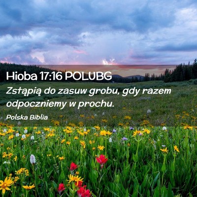Picture 02 - Hioba 17:16 POLUBG - Zstąpią do zasuw grobu, gdy razem odpoczniemy w - Bible Verse Picture
