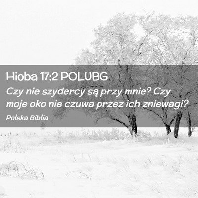 Picture 02 - Hioba 17:2 POLUBG - Czy nie szydercy są przy mnie? Czy moje oko nie - Bible Verse Picture