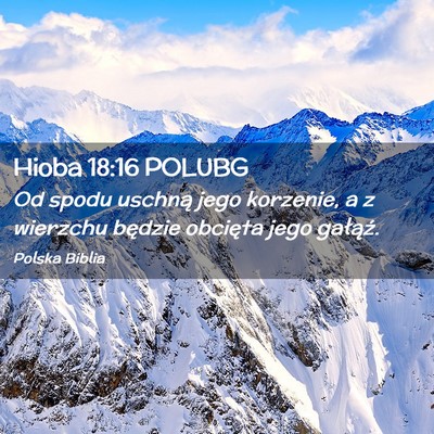 Picture 02 - Hioba 18:16 POLUBG - Od spodu uschną jego korzenie, a z wierzchu - Bible Verse Picture